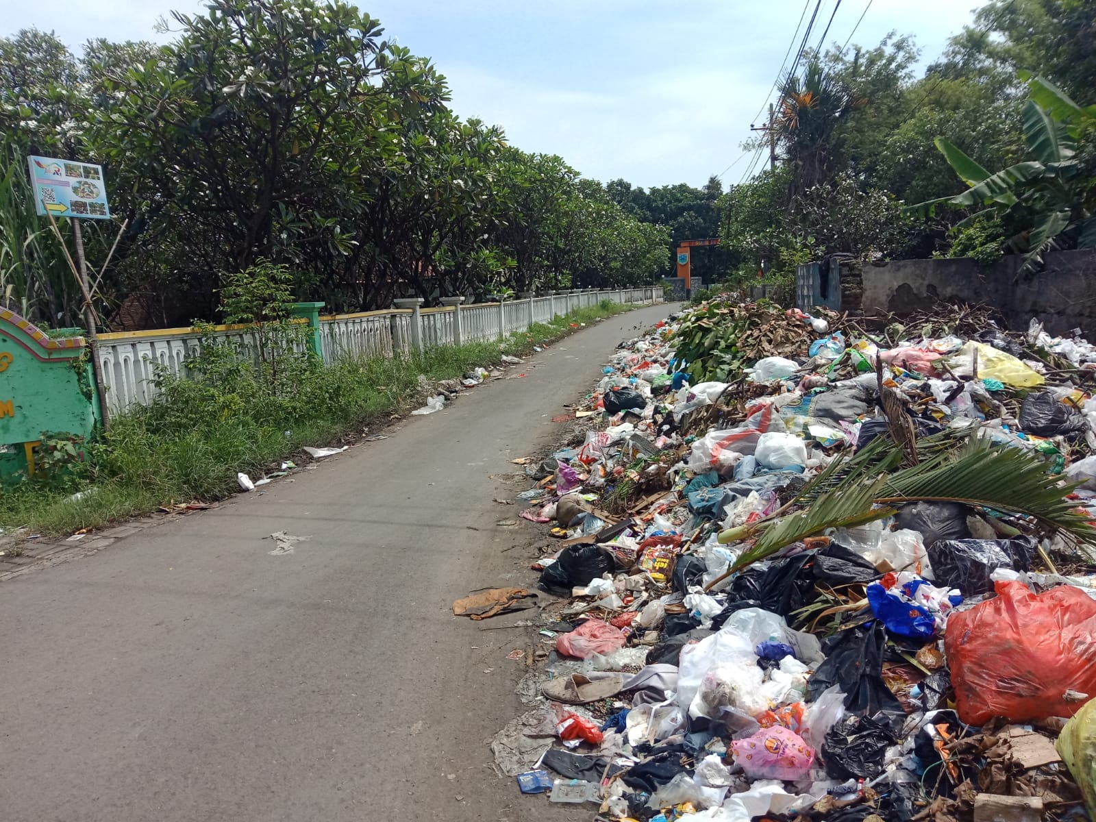 IMG-20220202-WA0059.jpg